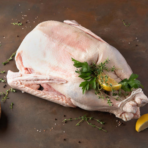 Oie italienne entière fraîche surgelée 4 kg