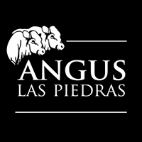 Rib Eye 200+ day grain fed Black Angus las piedras uruguay
