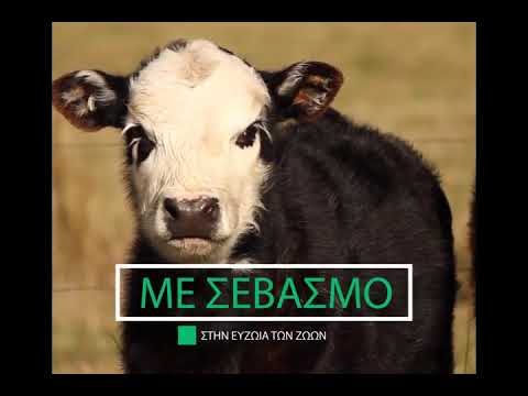 Ελιά χωρίς οστό Από Βιολογική Μοσχίδα Ελλάδος