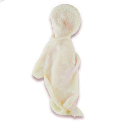 Αρνίσια Κοιλιά Ελλάδος – φρέσκια και καθαρισμένη κοιλιά ελληνικού αρνιού, ιδανική για κοκορέτσι ή φούρνο, διαθέσιμη από το Siakos.gr