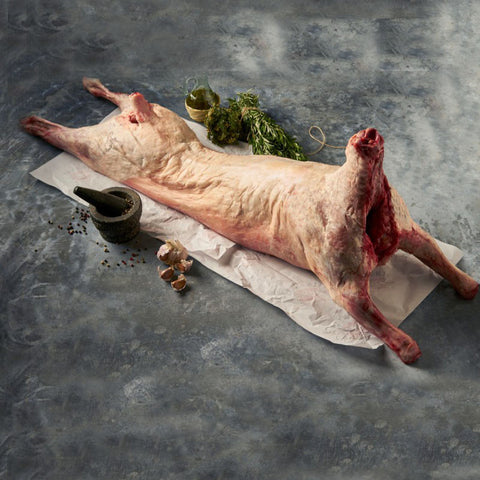 Αρνί Γάλακτος Αγρινίου – ολόκληρο (8–15 κιλά) ελληνικό αρνί ελευθέρας βοσκής με φυσική γεύση και τρυφερό κρέας, ιδανικό για σούβλα ή φούρνο, από το Siakos.gr
